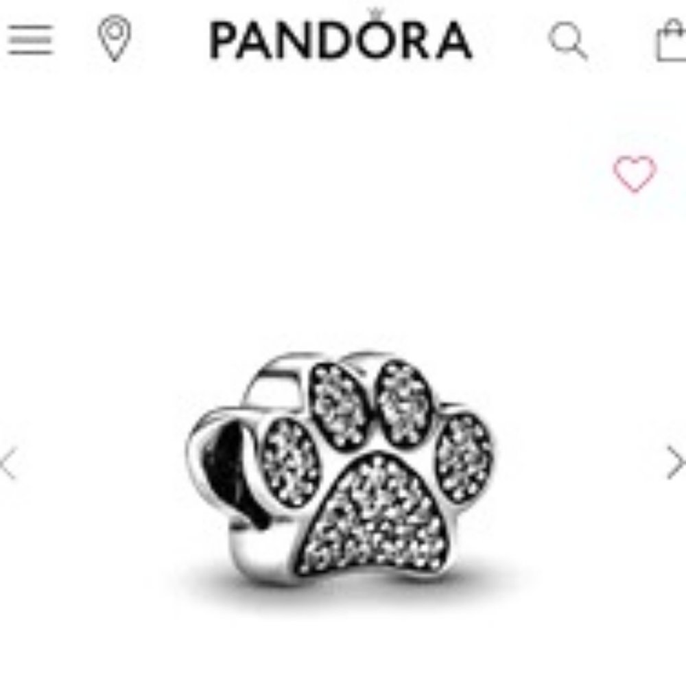 BRAND NEW Pandora Charm!